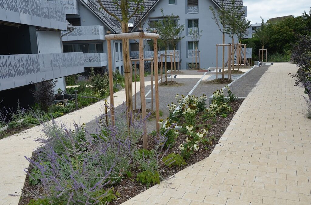 Arealüberbauung „Geerenpark I + II“ Niederglatt