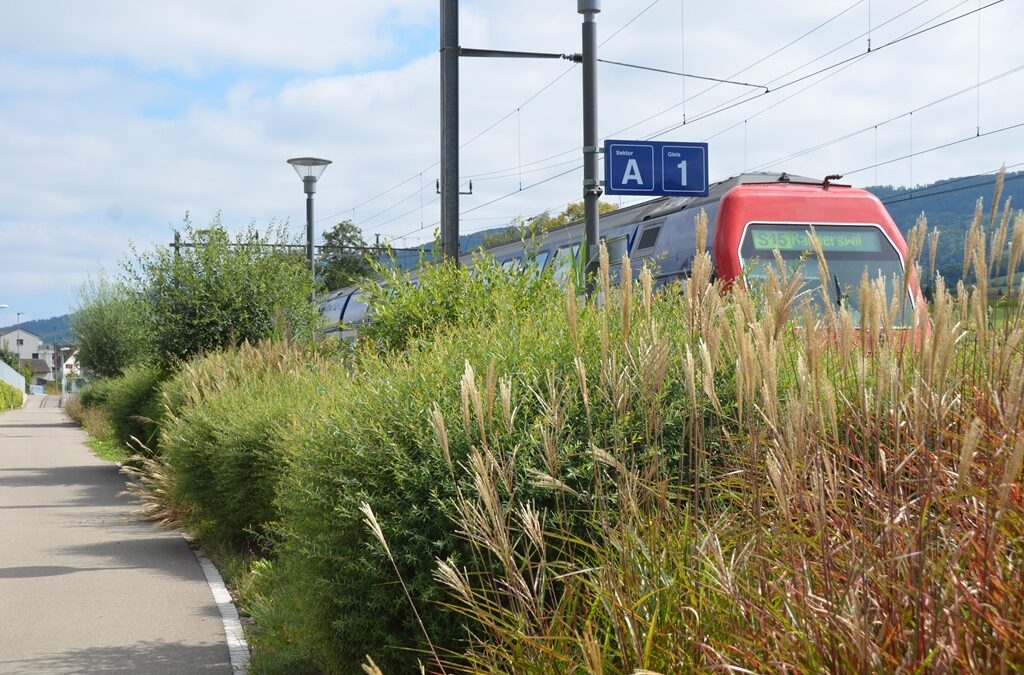 Bahnhof Niederweningen