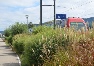 Bahnhof Niederweningen