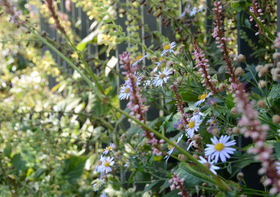 Überbauung «EDERA» Bonstetten
